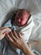 Mothers hands.jpg