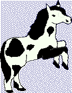 Domino