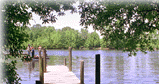 dock.gif