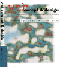 webconcpt-web.gif (4453 bytes)