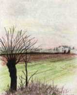 Mulberry in the country