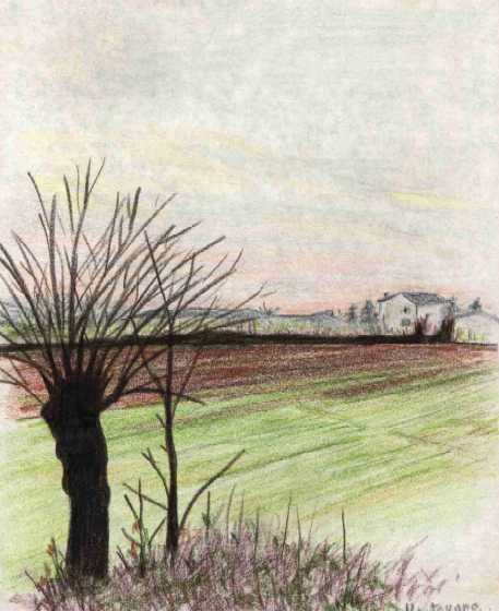 Campagna con gelso