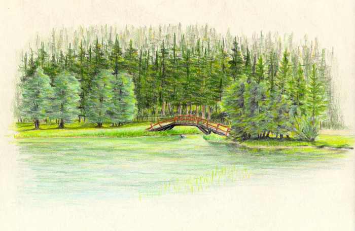 Foot-bridge on the lake