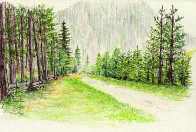 Lane in a pine-wood