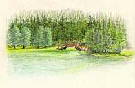 Wooden foot-bridge on the lake