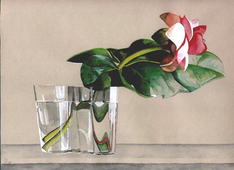 Flowers2