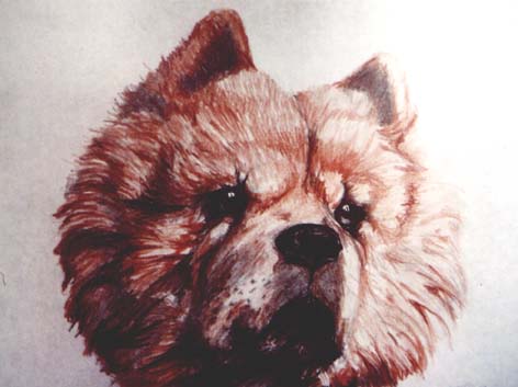 Chowchow