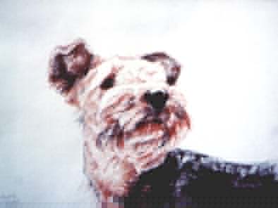 Terrier