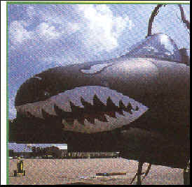 wpe18.jpg (12543 bytes)