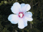 july2000_06