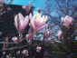 march2000_03
