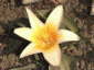 march2000_10