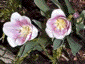 may2000_02
