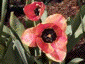may2000_03