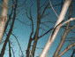 feb2001_12