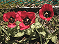 may2001_02