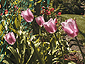may2001_03