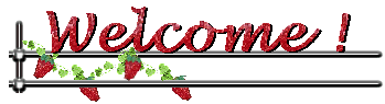 Welcome !