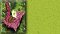 Flowerset