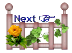 next
