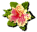button