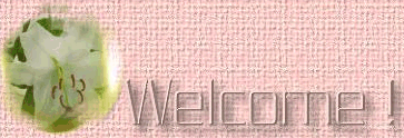 Welcome