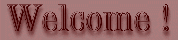 Welcome !