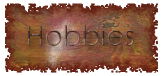 Hobbies