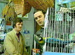 Michael and John and dead parrot