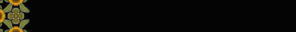 background graphic