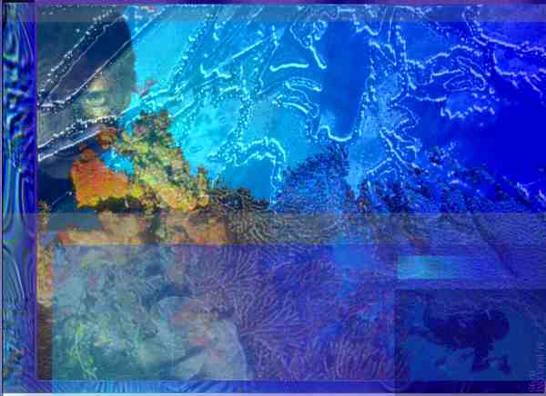 graphic design: Diver