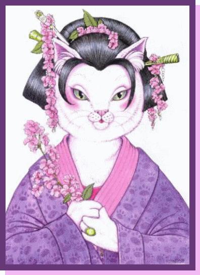 Cherry Blossom Cat
