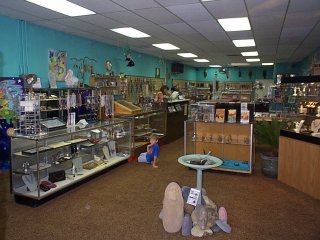 Wild Things interior