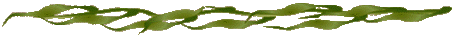 Kelpbar.bar