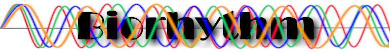 Biorhythm