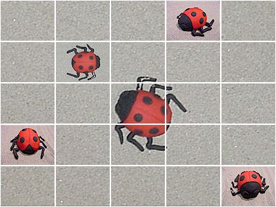 Polymer Clay Lady Bug