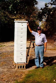 September Hive