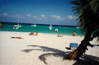 1st Beach View