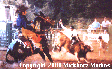 Breyer Balker using Rodeo Background scene