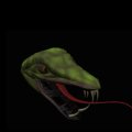 head 2