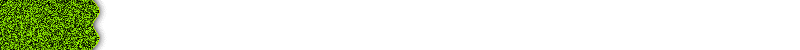 bg4zzs.gif (4621 bytes)