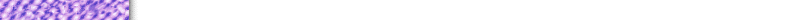 bg6ft.gif (2456 bytes)