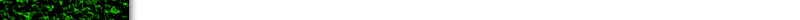 bg7ft.gif (1893 bytes)