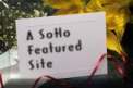 SoHo Featured Site