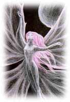 Moonlight: a fairy spreads her wings on a full moone night