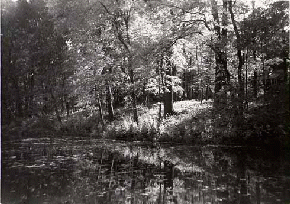 Where the Fairies Dwell
