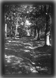 Passageway