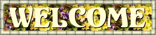 welcome
