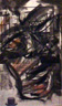 RostroCarbon4