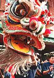 close up of lion dance